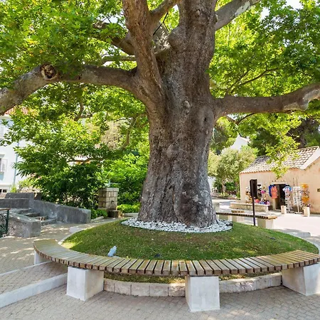 Lav Lux Elegant With Private Heated Pool Villa